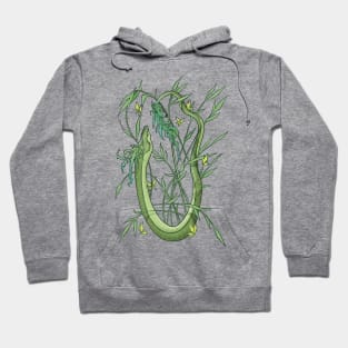 Bamboo Dragon Hoodie